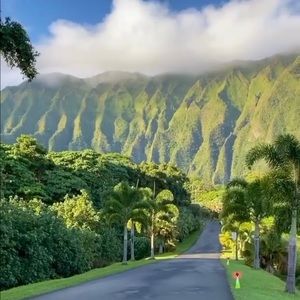 Meet your Posher, Jack